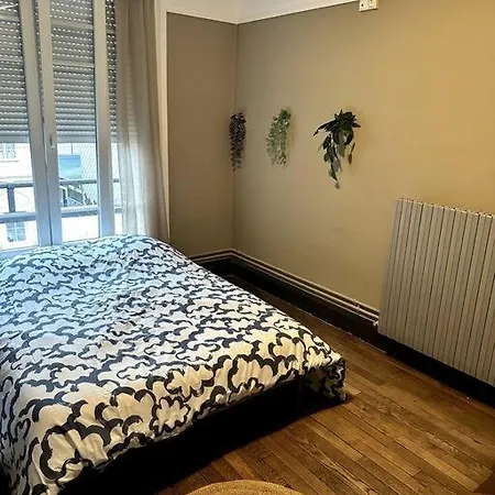 Lumineux Et Spacieux