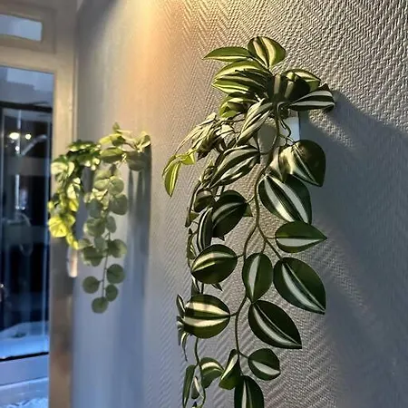 Lumineux Et Spacieux