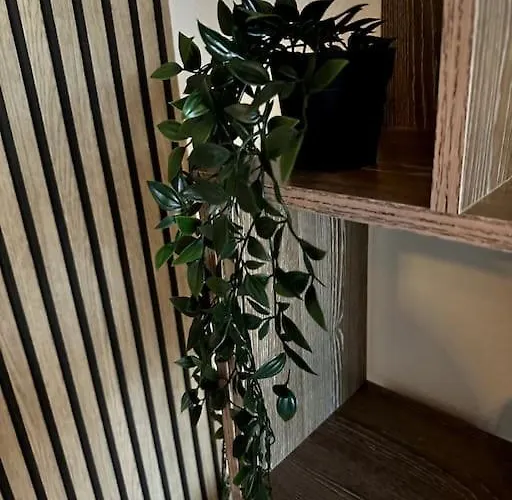 Apartment Lumineux Et Spacieux *