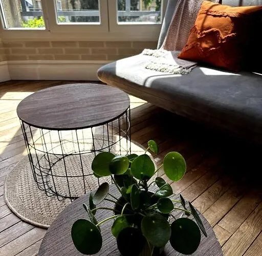 Lumineux Et Spacieux