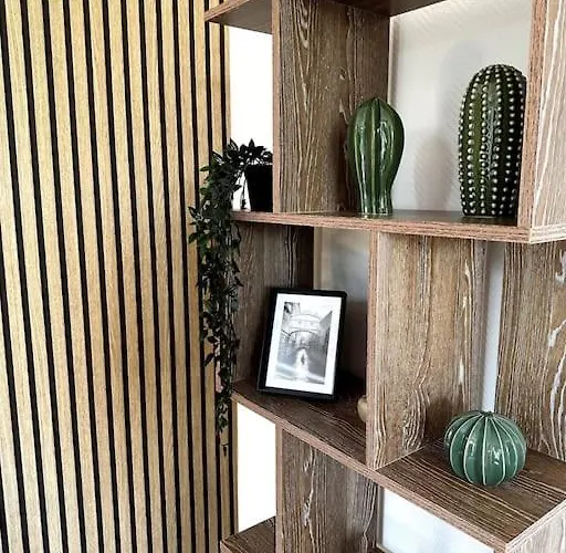 Lumineux Et Spacieux