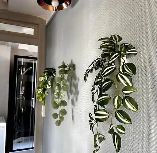 Lumineux Et Spacieux Apartment Charleville-Mézières