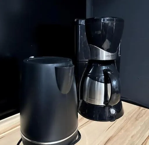 Lumineux Et Spacieux Apartment