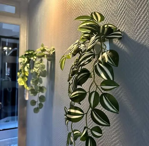 Lumineux Et Spacieux